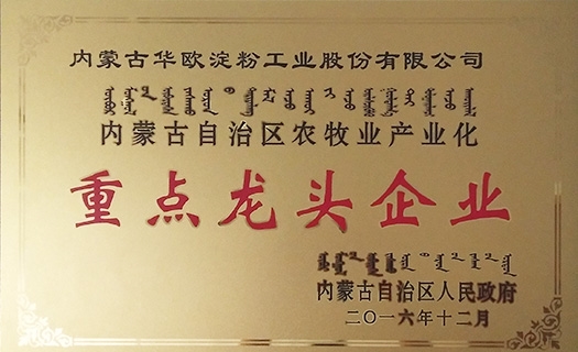 內蒙古自治區(qū)重點龍頭企業(yè)牌匾